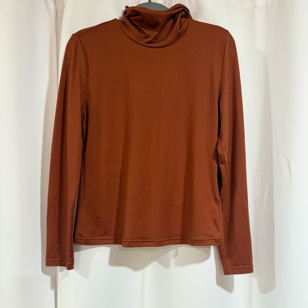 Rust Long Sleeve Slim Fit Turtleneck Top